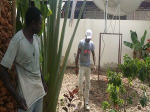 Huertos en Gambia 2 3