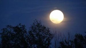 luna llena
