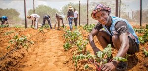Hombres y mujeres sembrando en Botswana