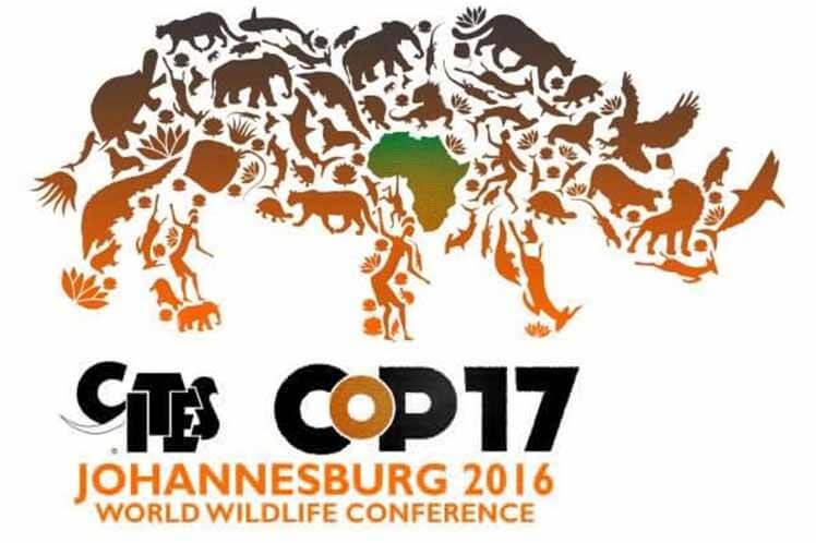 COP17