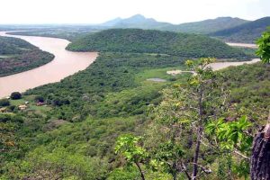 Los jefes de Estado de la región de la cuenca del Congo decidieron unirse para trabajar en función de los recursos naturales y fomentar el crecimiento económico