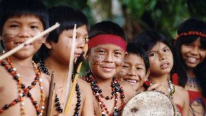 Pueblos Indigenas