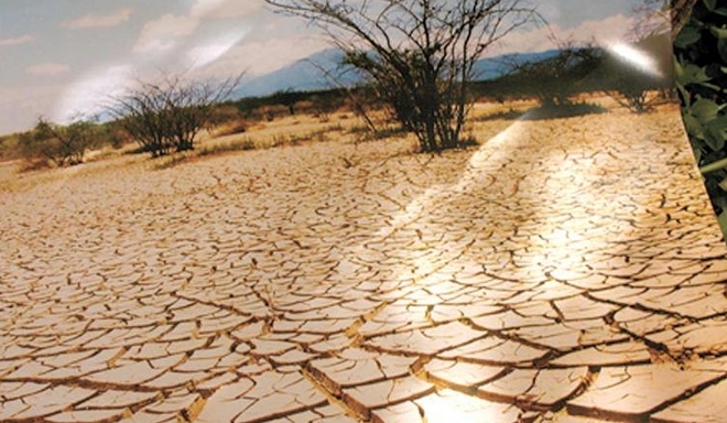 Sequia en el sur de África