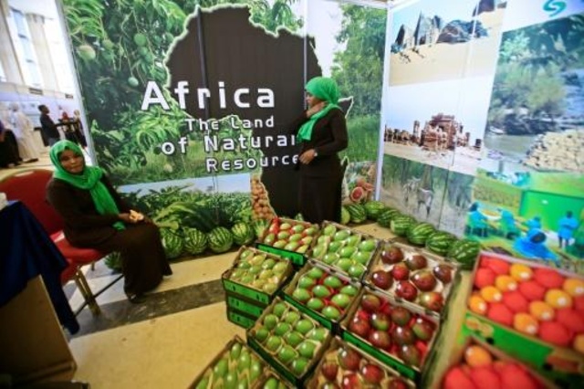 África uno de los grandes productores de alimentos padece en la distribución