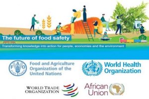 Etiopia Conferencia alimentos