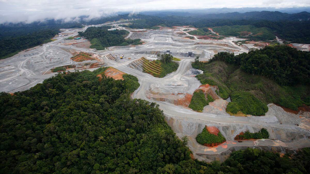 Bosques panameños