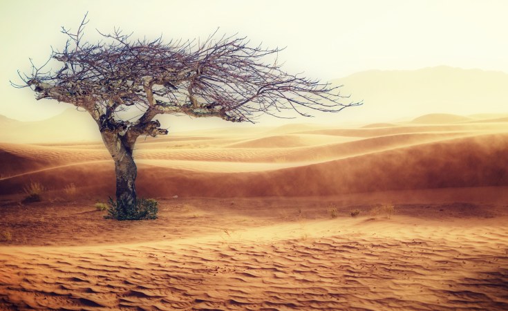 Cambio climatico
