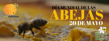 Día Mundial de las abejas