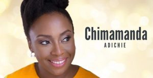 El Peligro de la Historia Única