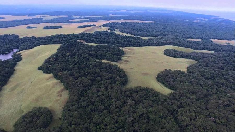 El premio recibido por Gabón es de $17 millones, el cual debe destinar a planes que sigan impulsando la reducción de CO2