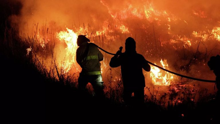 Incendios forestales en Argentina - Sputnik Mundo, 22.02.2022 © REUTERS | Sebastian Toba
