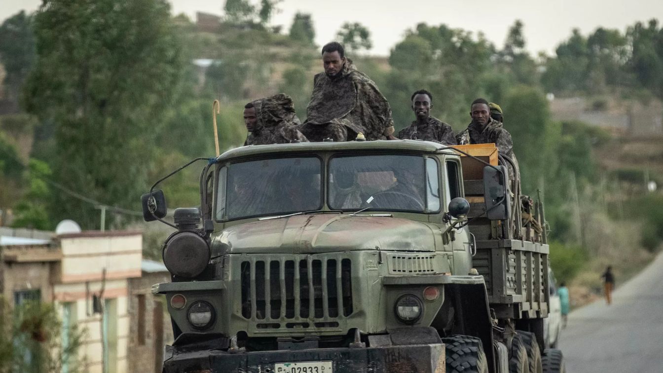 Combatientes del tigray