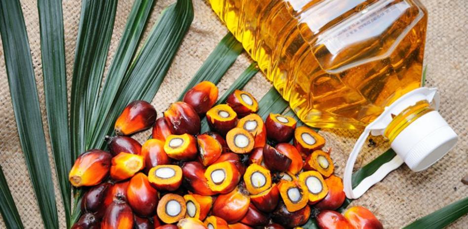 Aceite comestible