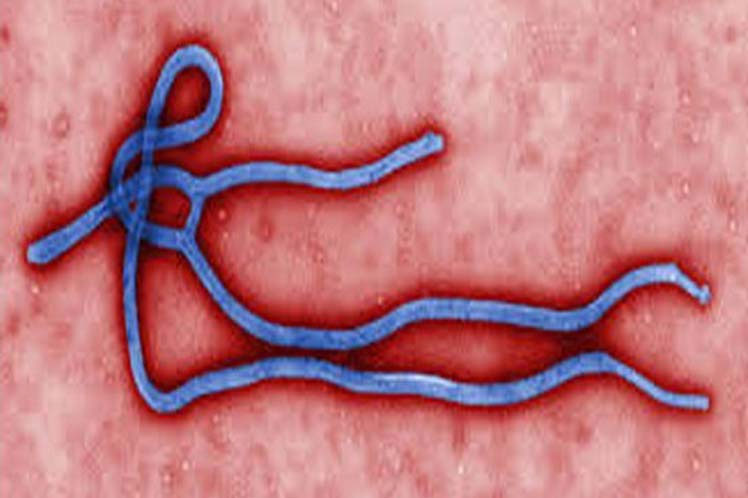 Virus del Ébola