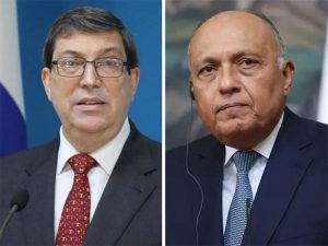 Sameh Shoukry y Bruno Rodriguez