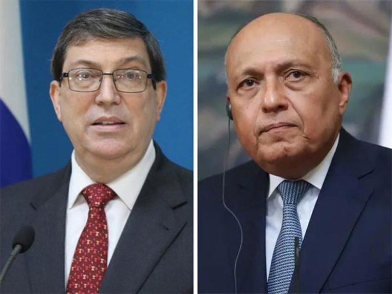 Sameh Shoukry y Bruno Rodriguez