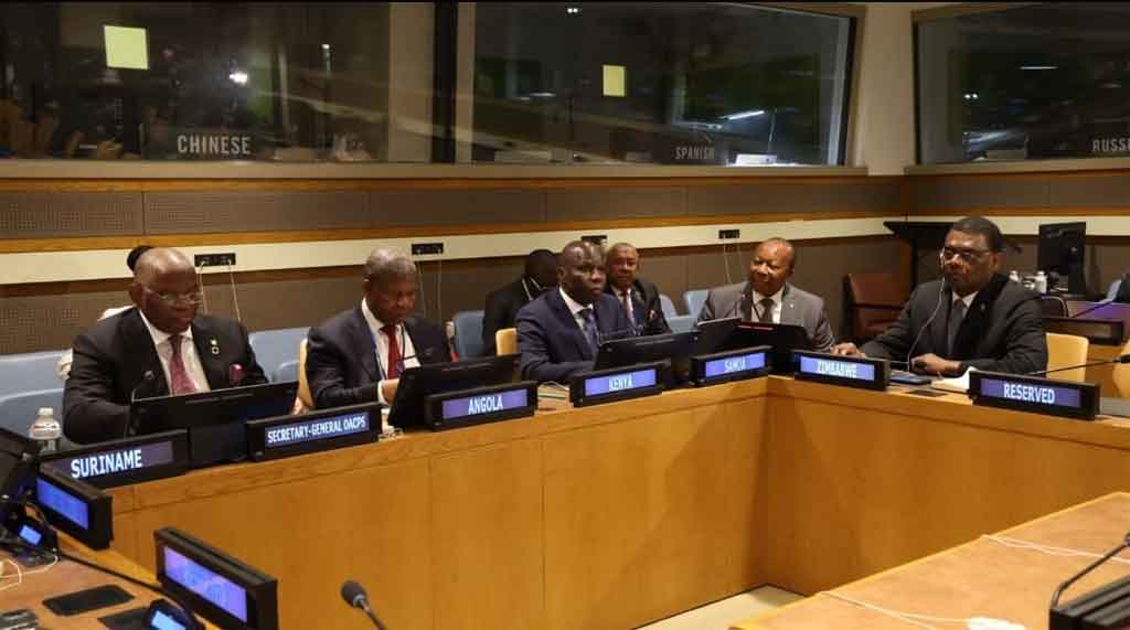 Organización de Estados de África, el Caribe y el Pacífico (OEACP),