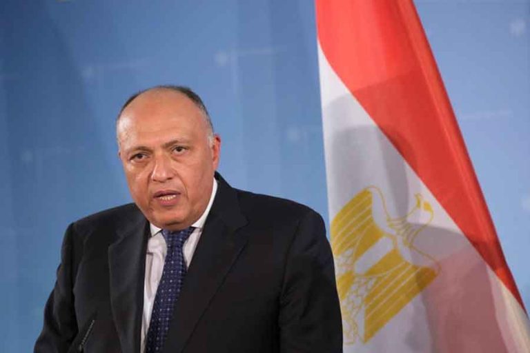 Sameh Shoukry