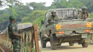 RDC combates