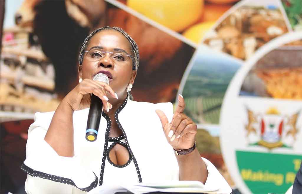 Ministra de Empleo y Trabajo de Sudáfrica, Nomakhosazana Meth