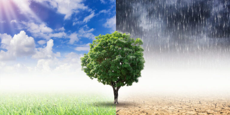 Cambio climatico