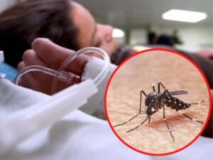 San Vicente y las Granadinas con más de 600 casos de dengue