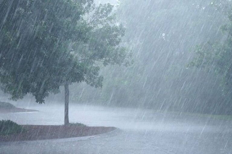 Autoridades chadianas confirmaron en 487 el número de muertos por las fuertes lluvias caídas en el país desde julio, informaron hoy aquí medios locales.