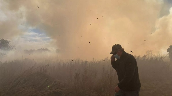 Foto: Portal web de la Conaf