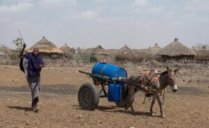 Una mujer usa una carreta tirada por un burro para transportar un barril de agua en las zonas afectadas por la sequía en Higlo Kebele | Foto: Reuters 1