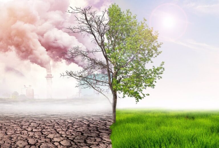 Cambio Climático